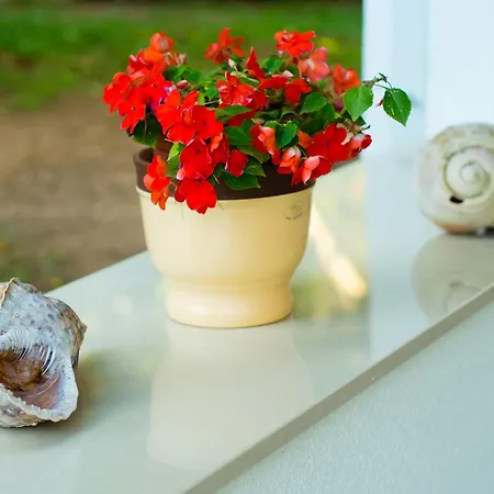 Lilly - Bright Apartment With Outdoor Space Дубровник