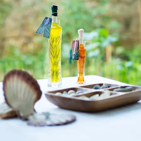 Azinovic Appartement