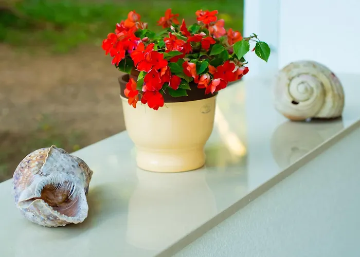 Azinovic דוברובניק