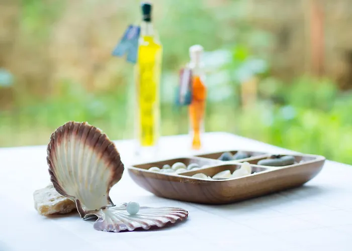 Azinovic * דוברובניק